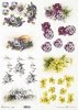 wiosenne kwiaty, przebiśniegi, bratki, żółta prymulka*spring flowers, snowdrops, pansies, yellow primulas*Frühlingsblumen, Schneeglöckchen, Stiefmütterchen, gelbe Schlüsselblumen*flores de primavera, campanillas de invierno, pensamientos, prímulas amarill